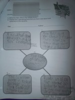 /album/student-samples/a100-1341-jpg/