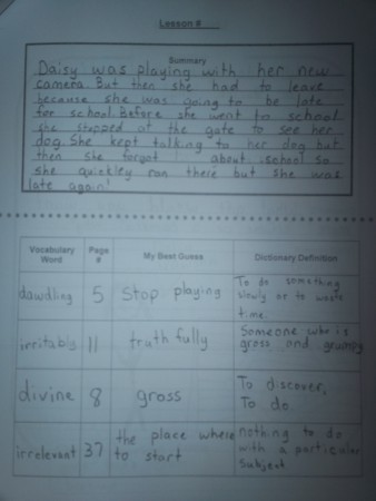 Comprehension Guide: Fiction Chapter Book